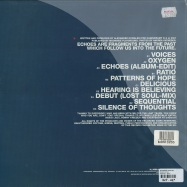Back View : Alexander Kowalski - ECHOES (2X12 LP) - Kanzleramt / KA055