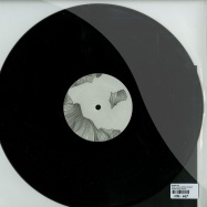 Back View : Manni Dee - AMID THE COLLAPSING SCENERY - Candela Rising / CAN005