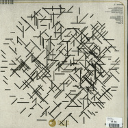 Back View : Conforce - DAWN CHORUS (LP) - Delsin / 140DSR