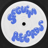 Back View : Various Artists - THE RABBIT HOLE V.A. - Seguim Records / SEGUIM003