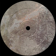 Back View : C3D-E - THE PERFECT MEMORY - Midi_bug / bug_251