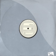 Back View : Christian Fischer & The Ascent - MIRACLE PLACES / NASTY - Re-Flex002