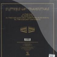 Back View : Sister Of Transsistors - THE DON / PENDULUM - This is Music / thisim005