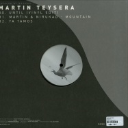 Back View : Martin Teysera - INSELBERG - Out Of The Ordinary 002