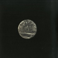 Back View : Lisiere Collectif - UFO PARK (STEVE O SULLIVAN & GLUEPED RMXS) - ODT Records / ODTV001