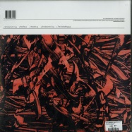 Back View : Oren Ambarchi & Martin Ng ft. Ensemble Offspring - THE VANISHING (LTD 2LP + MP3) - Hospital Hill / 00133881
