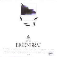 Back View : Bewwip - EIGENGRAU EP - Analogical Force / AF037