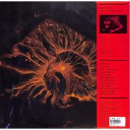 Back View : Mega Bog - END OF EVERYTHING (LP) - Mexican Summer / MEX3370