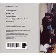Back View : Anadol - FELICITA (CD) - Pingipung / Pingipung 074 CD