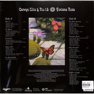 Back View : Carwyn Ellis / Rio 18 - FONTANA ROSA (LP) - Legere Recordings / 26634