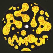 Back View : Daniel Troberg - ACID STORY EP - Acid Lamour / AL03