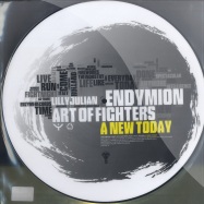 Back View : Endymion & Art Of Fighters ft. Lilly Julian - A NEW DAY (PICTURE DISC) - Enzyme035