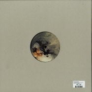 Back View : Ben Buitendijk - ALTERNATIVE HYPOTHESIS EP - Oblique Music / OBQ008