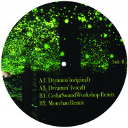 Back View : D-Briggs - DREAMIN - Dailysession Records / DSR029
