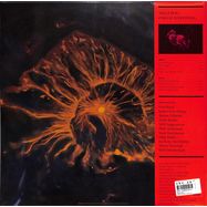 Back View : Mega Bog - END OF EVERYTHING (LP) - Mexican Summer / MEX3371
