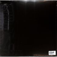 Back View : Soichi Terada - APES IN THE NET (LP) - Far East Recording / FER 06903