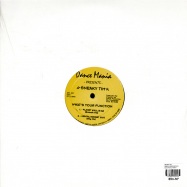 Back View : Sneaky Tim - WHATS YOUR FUNCTION - Dance Mania / DM057