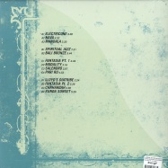 Back View : Lloyd Miller & The Heliocentrics - LLOYD MILLER & THE HELIOCENTRICS (2X12 LP) - Strut Records / strut060lp