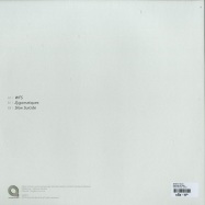 Back View : Infinite Fields - FRACTION OF TIME - Quanta Records / QR001