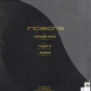 Back View : Various Artists - INCISIONS - Jinx / JX650