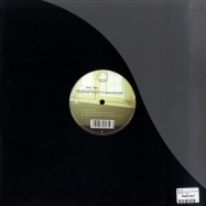 Back View : Ivel Tax - BROTHERHOOD EP (AARON-CARL REMIX) - Terpsichore / Ter003