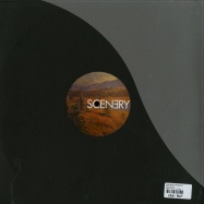 Back View : Deep Space Orchestra / Bantam Lions - WE HELD ON - Scenery Records / SCN002