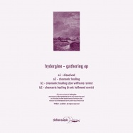 Back View : Hydergine - GATHERING EP - Tiefenrausch / TR010
