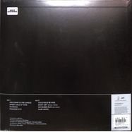 Back View : Guns N Roses - GREATEST HITS (LTD. EDITION Clear Gold LP) - Geffen / 5574022