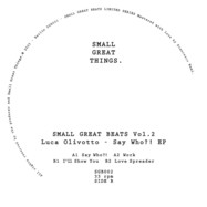 Back View : Luca Olivotto - SAY WHO EP - Small Great Things / SGB002