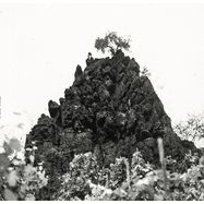 Back View : Kat Davids - WINTERSWELL - Intercept / INT088LP