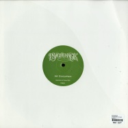 Back View : Psychemagik - THIS MUST BE THE PLACE - Psychemagik / PM001