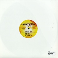 Back View : Incognito - AINT IT TIME / THE LESS YOU KNOW - Dome Records / 12dome293