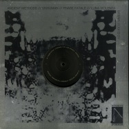 Back View : Ascetic - EVERYTHING IS BECOMING REMIXES - Instruments Of Discipline / IOD015