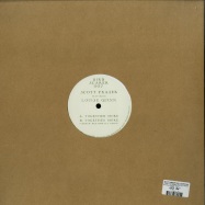 Back View : Scott Fraser feat. Louise Quinn - TOGETHER MORE (ANDREW WEATHERALL REMIX) - Bird Scarer Records / BS007