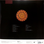 Back View : Henning Fuchs - GAIA (LP) - Neue Meister / 0301504NM