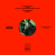 Back View : Eira Haul - FOREST BEAMS (EP+MP3) - Edition Akasha / EDAK001
