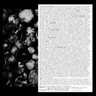 Back View : Ea 80 - MEHR SCHREIE (REISSUE) (LP) - Major Label / 01677