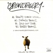 Back View : Crowdtheory - RALITY (DONT CARE BOUT NUTHIN) - CT001-12