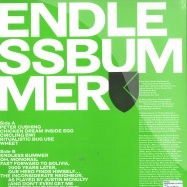 Back View : Pink Skull - ENDLESS BUMMER (LP, GREEN COVER) - Rvng Intl. / rvngnl01