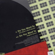 Back View : Franz Ferdinand - DO YOU WANT TO (EROL ALKAN REMIX) - Domino / rug211t