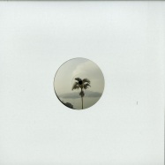Back View : J. Tijn - THE DELUGE EP - Lost Palms / PALMS011