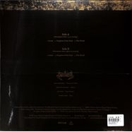 Back View : Metempsychosis - METEMPSYCHOSIS (LP) - SOUND POLLUTION - BLACK LODGE RECORDS / BLOD184LP