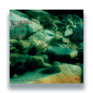 Back View : Sulah Jordan - LADY BUG - Test Pressing Arts / TPARTS001