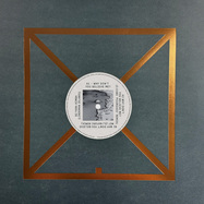 Back View : Declan McDermott - WHY DONT YOU BELIEVE ME? - Delusions Of Grandeur / DOG111