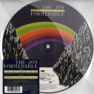 Back View : The Joy Formidable - I DON T WANT TO SEE YOU LIKE THIS (7INCH) - Atlantic / at0355