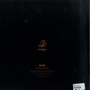 Back View : Ruhig - SLEEPING ORACLE EP - Midgar Records / MDG013.1