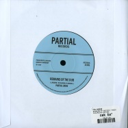 Back View : Ital Horns - REMAINS OF THE DAY (7 INCH) - Partial Records / PRTL7064