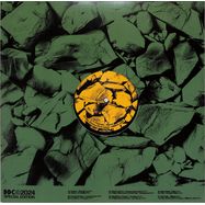 Back View : Various Artists - AMIGOS 001 (3LP) - Dias De Campo Records / DDC003