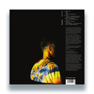 Back View : Joris Voorn - SEROTONIN (2LP) - Armada Music, Spectrum / ARMAPRMV001