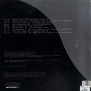 Back View : Damon Wild - SOMEWHERE IN TIME (2X12INCH LP) - Synewave / swuk001LP